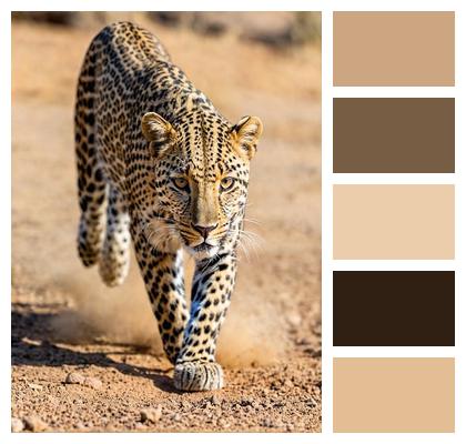 Leopard Ai Generated Jaguar Image